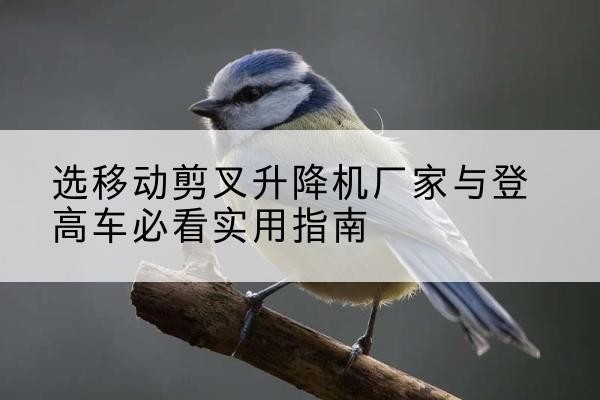 东阳电动升降机厂家-选移动剪叉升降机厂家与登高车必看实用指南