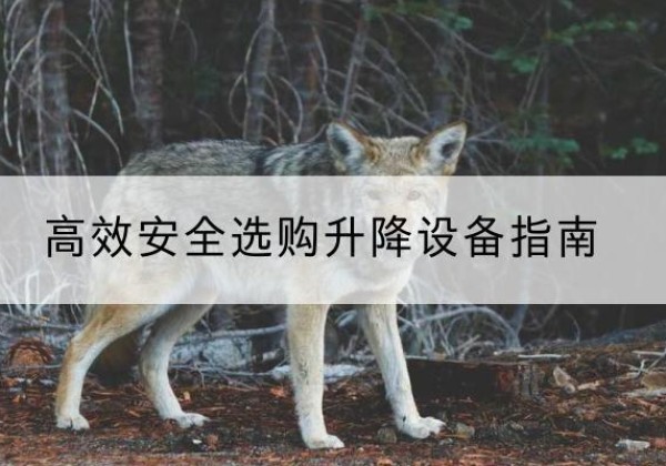 东阳升降货梯厂家推荐-*安全选购升降设备指南